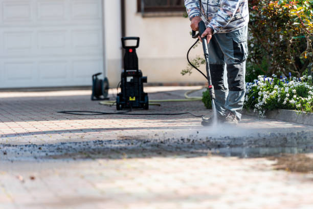 Best Roof Pressure Washing  in Shively, KY