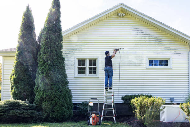 Best Commercial Building Pressure Washing  in Shively, KY