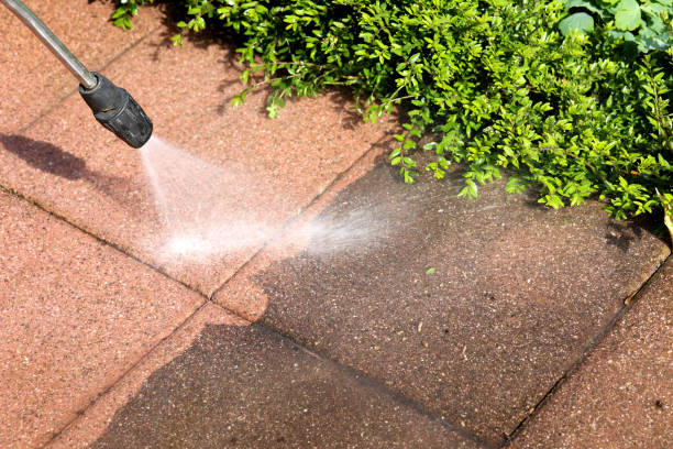 Professional Pressure Washing in Shively, KY